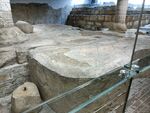 Aquileia-Basilika035.jpg